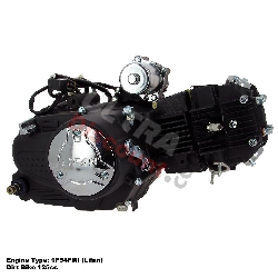 Motor 125cc Pit bike Lifan 1P54FMI