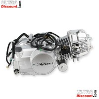 Motor 125cc Euro5 para Skyteam T-rex Bilder 1