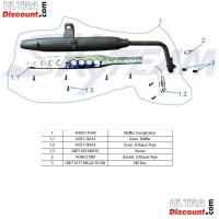 Tubo de escape para Dax Skyteam Skymax 125cc Euro4 Bilder 1