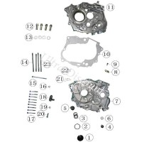 Espiga de guía de placa de leva embrague quad Shineray 250cc STXE