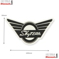 Adhesivo de SkyTeam para Skymini (frente)