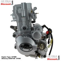 Motor completo de Quad Shineray 250cc Racing (167MM)