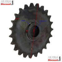 Piñón de 23 dientes para quad Shineray 250cc ST-9C