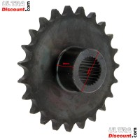 Piñón de 23 dientes para quad Shineray 250cc ST-9C