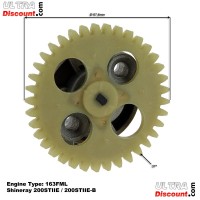 Bomba de aceite para quad Shineray 200cc STIIE (163FML) Bilder 1