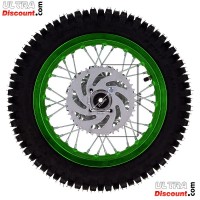 Rueda trasera 12'' VERDE Pit bike AGB27 (tacos 12mm)