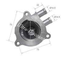 Cuerpo de bomba de agua para quad Spy Racing 250 F1