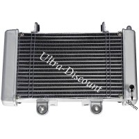 Radiador cumpleto para quad Shineray 250cc Racing ST-9E Bilder 2
