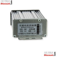 regulador de intensidad regulable Mini Quad 36V 500W (type2)