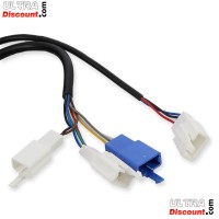 Kit maneja accelerador eletrico Citycoco Shopper Bilder 1 Kit maneja accelerador eletrico Citycoco Shopper Bilder 1