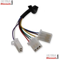 Kit maneja accelerador eletrico Citycoco (Alu) type5 Bilder 1