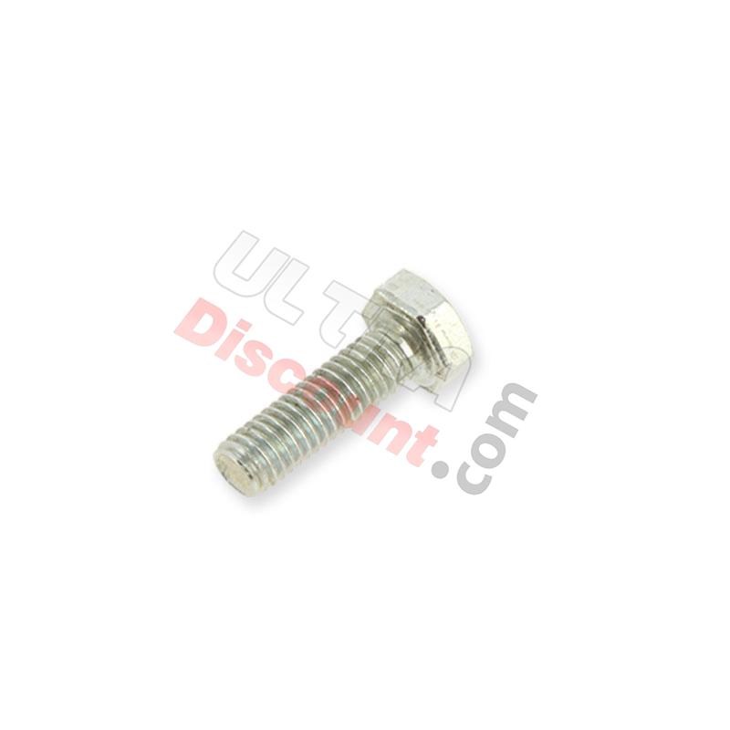Tornillo para separador de aceite para embrague para motores Skyteam T-REX 125cc, Recambios Trex Skyteam