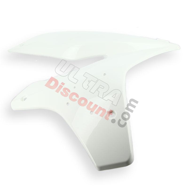 Lateral derecho de Quad Shineray 250cc STXE - BLANCO, Piezas Shineray 250 STXE