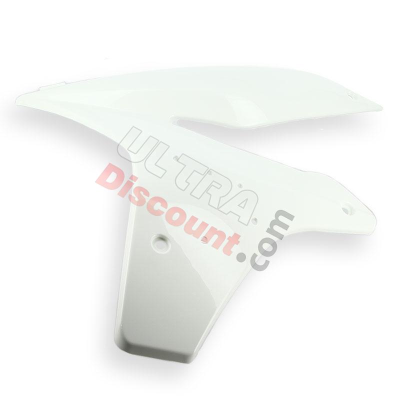 Lateral izquierdo de Quad Shineray 250cc STXE - BLANCO, Piezas Shineray 250 STXE
