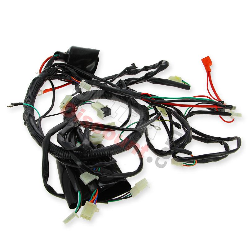 Cableado completo de quad Spy Racing 250 F1, Piezas Quad SPY250F1