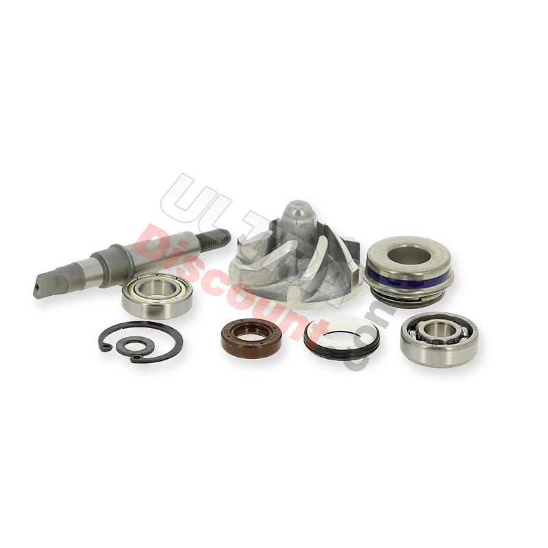 Bomba de agua para quad Shineray 250cc ST-9E, Piezas Shineray 250cc STIXE ST9E