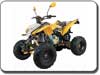 Quad Bashan Quad 200, 250cc, 300