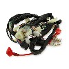 Cableado completo de Skyteam Skymax 125cc EURO4 (antes 09-2017), Recambios Dax Skymax