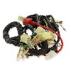 Cableado completo para PBR 110cc, Recambios PBR Skyteam ZB Honda