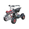 Mini quad 47cc, Mini quad