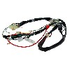 Cableado 36610-17H01 completo de Skymax 50cc 125cc (antes 10-2015), Recambios Dax Skymax