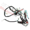 Cableado completo de Scooter Baotian, Recambios Baotian BT49QT-11
