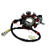 Estator para Quad Shineray 250cc STXE, Piezas Shineray 250 STXE