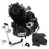Motor 50cc verticale (139FMA-2) para Skyteam ACE, Recambios Ace Skyteam