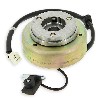 Encendido completo para Motores Skyteam 50cc, Recambios Dax Skymax