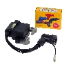 Encendido para mini supermotard + antiparasitario NGK, Piezas minimoto Supermoto
