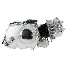 Motor 50cc Skyteam T-rex, Recambios Trex Skyteam