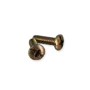 2 tornillos de carenado M6x20 para quad Shineray 250cc STXE