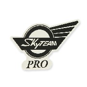 Adhesivo de SkyTeam Pro para el tanque Skymini (izquierda)