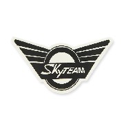 Adhesivo de SkyTeam para Skymini (frente)