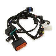 Cable de conexión 1 para Ordenador del motor Dax Skyteam EURO5 - NUEVA VERSIÓN