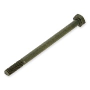 Tornillo de fijación del motor para Skyteam T-Rex (inferior)