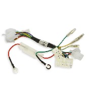 Cableado completo para scooter mini citycoco