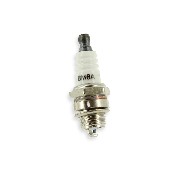 Bujía BPM6A para motor de mini cross de origen