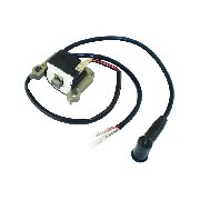 Encendido para minimotos ZPF