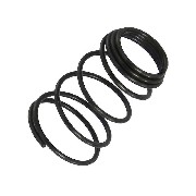 Muelle de tamiz para Baotian BT49QT-12