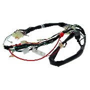 Cableado 36610-17H01 completo de Skymax 50cc 125cc (antes 10-2015)
