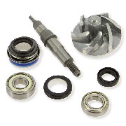 Kit de revisión de bomba de agua para Quad Bashan 200cc (BS200S-7) 