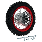 Rueda trasera 12'' ROJO completa Pit bike AGB27 (tacos 12mm)