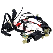 Cableado completo de quad Shineray 250cc STXE