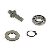 Kit de revisión de embrague para Quad Shineray 250cc STXE 