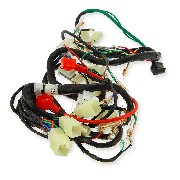 Cableado completo de SkyteamAce Euro4 (tras 10-2015)