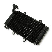 Radiador para Piezas Bashan 250cc BS250AS-43