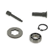 Kit de revisión de embrague para Quad Bashan 250cc (BS250S-11B)