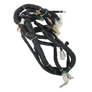 Cableado completo de Quad Bashan  300cc (BS300S-18)