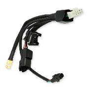 Cable de conexión 1 para Ordenador Dax Skyteam Skymax 50-125cc EURO4